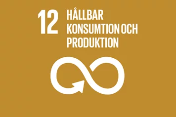 12e globala målet - hållbar konsumtion och produktion