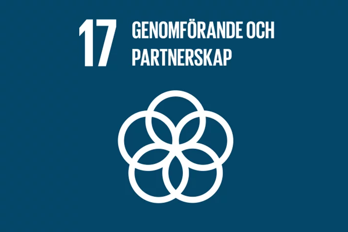 17e globala målet - genomförande och partnerskap