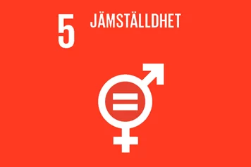Femte globala målet - jämställdhet