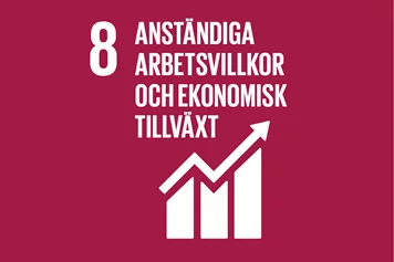 Eighth global goal - decent working conditions and economic growth