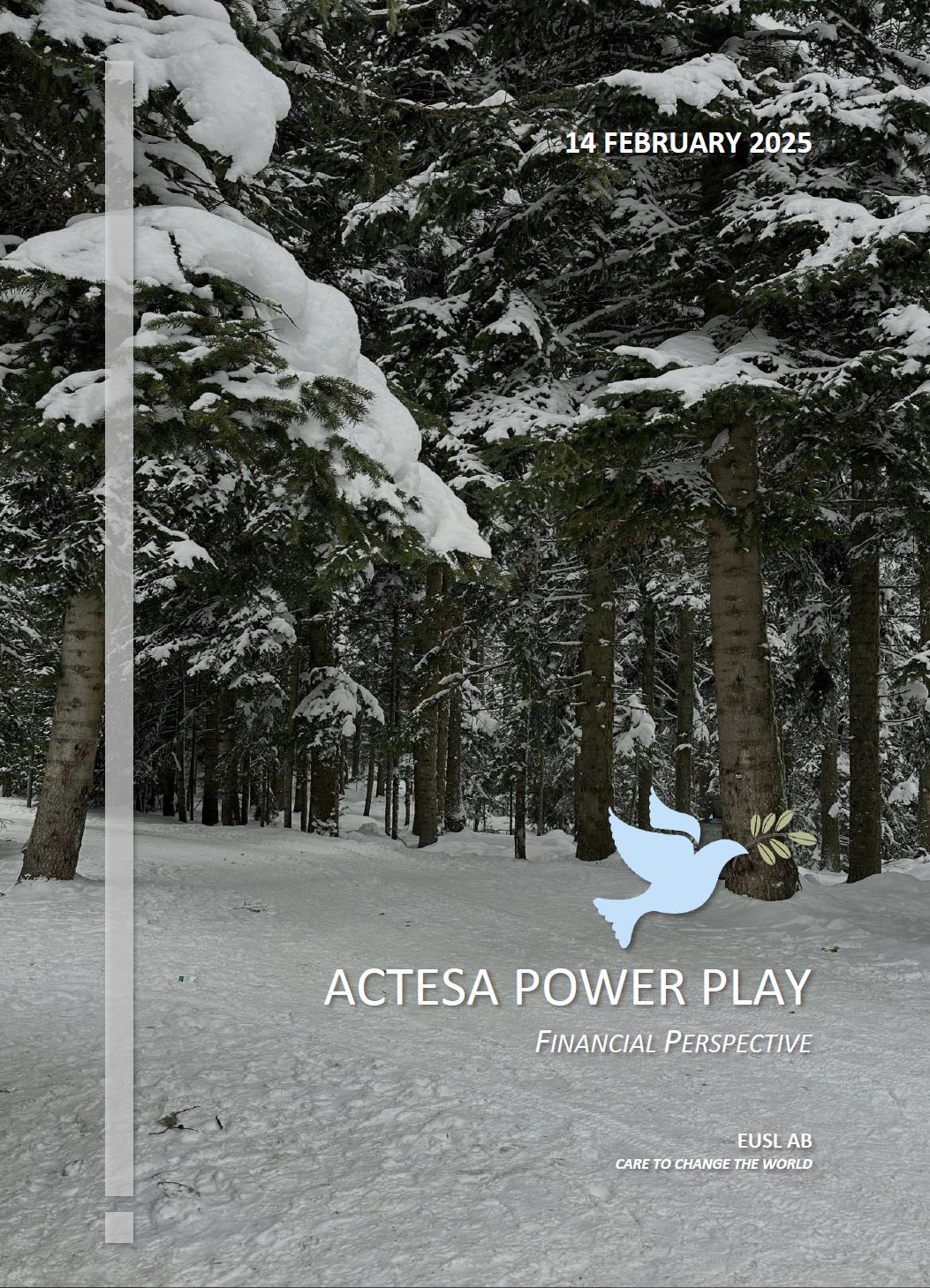 A financial perspective of ACTESA Power Play