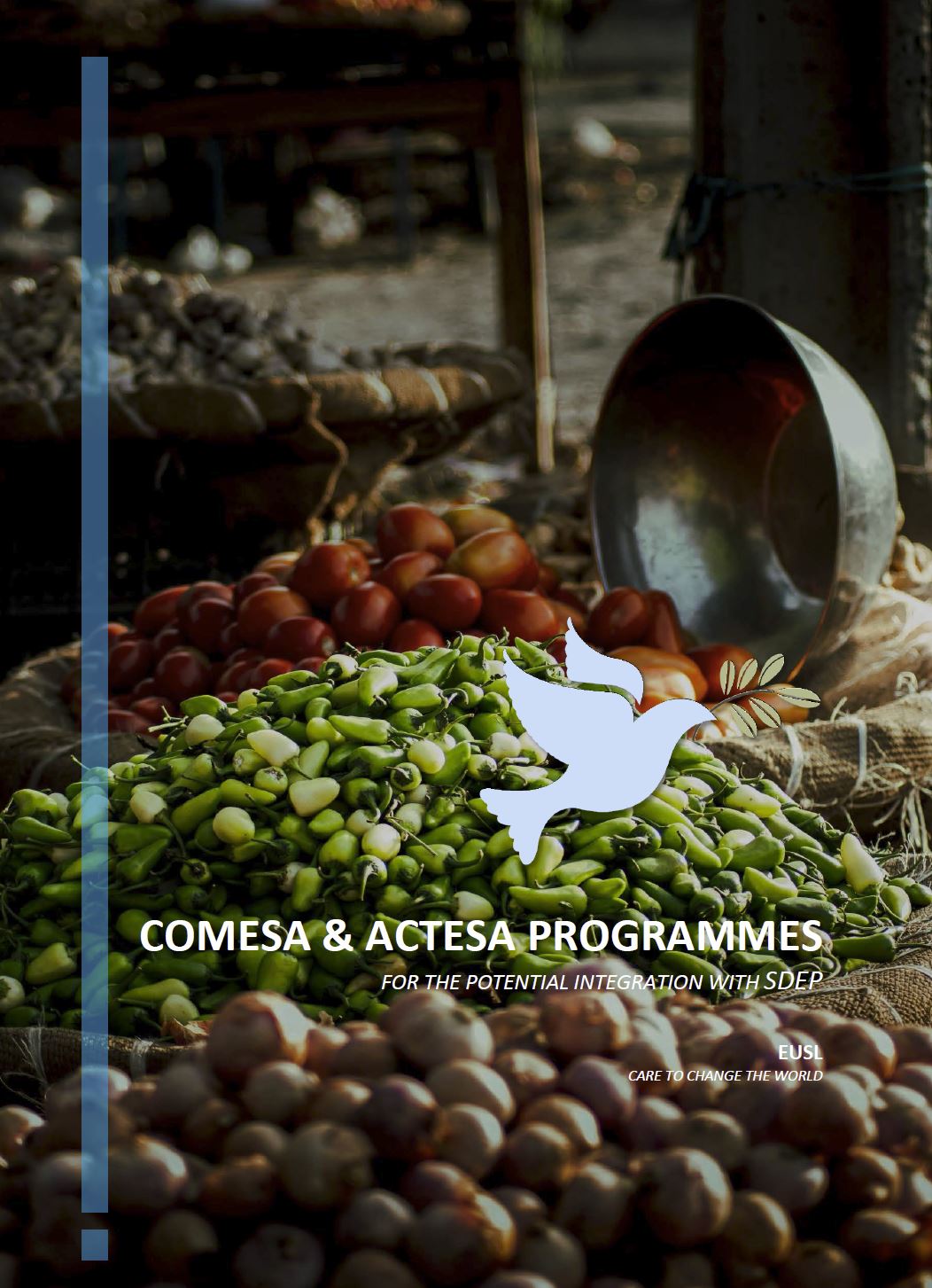 COMESA & ACTESA PROGRAMMES  FOR THE POTENTIAL INTEGRATION WITH SDEP