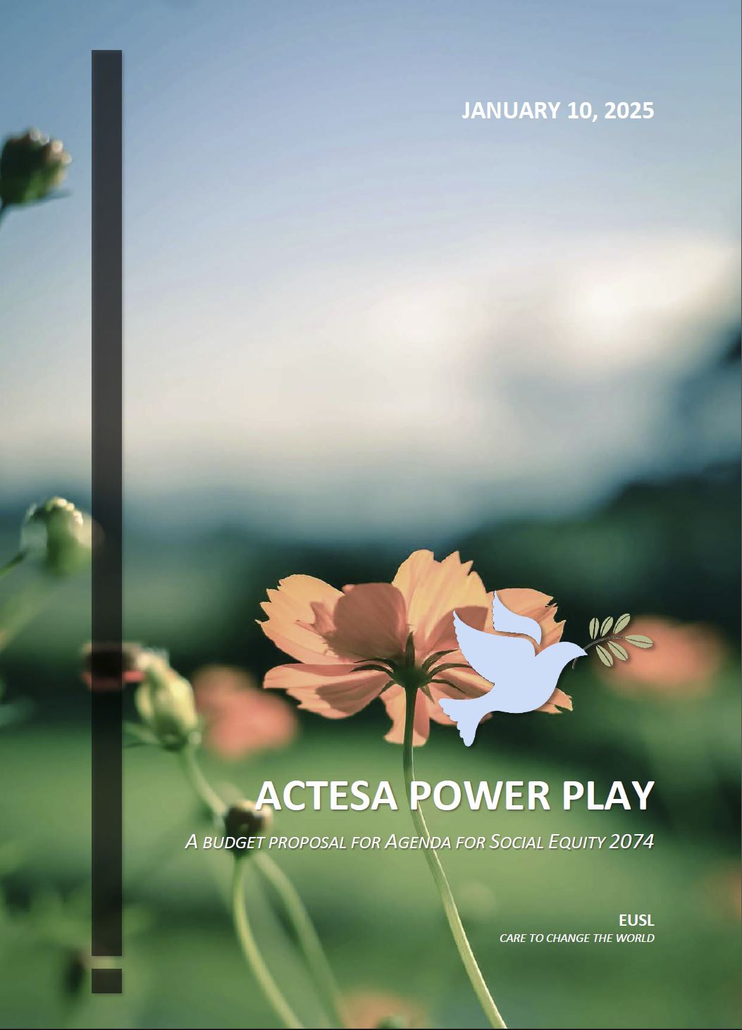 ACTESA Power Play Budget