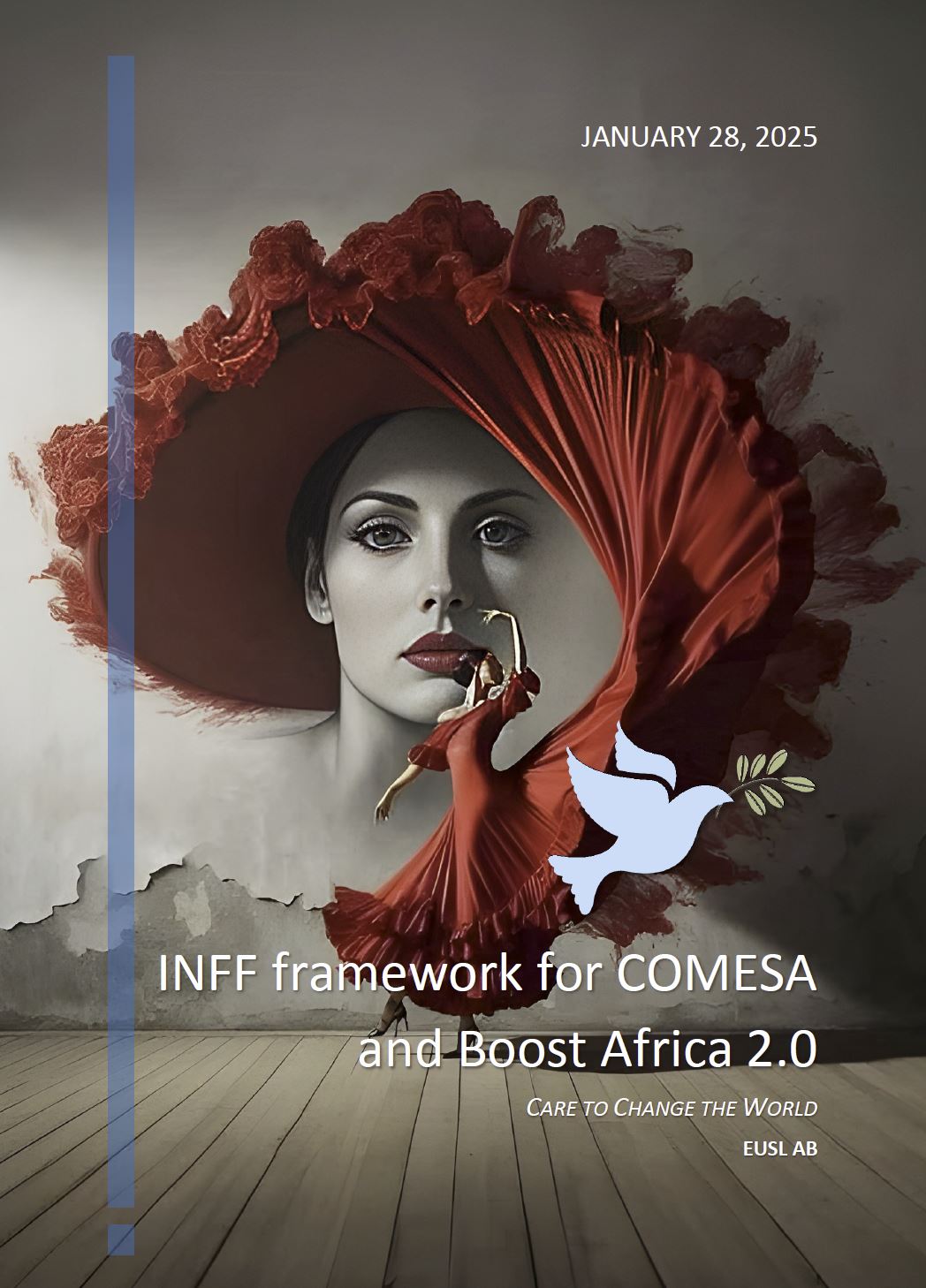 INFF proposal for COMESA