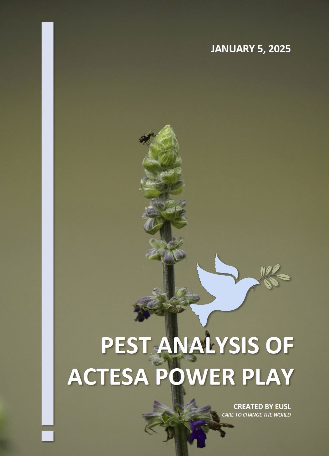 PEST analysis of ACTESA Power Play