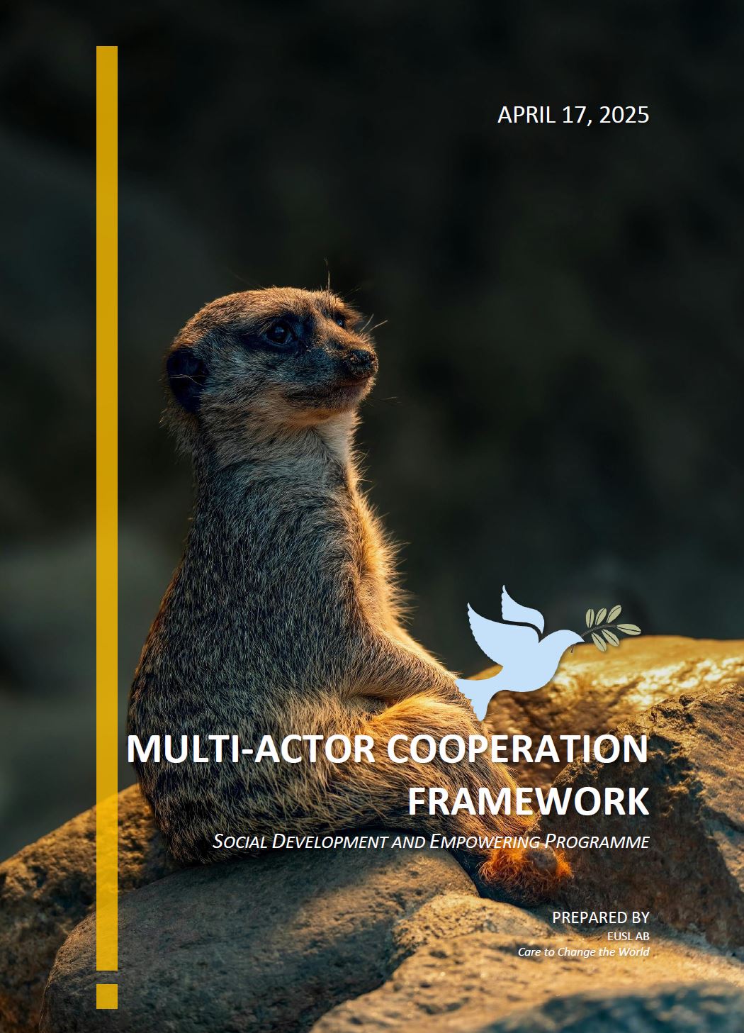 Multi-Actor Cooperation Framework proposal for collaboration around Social Development and Empowering Programme for SIDA