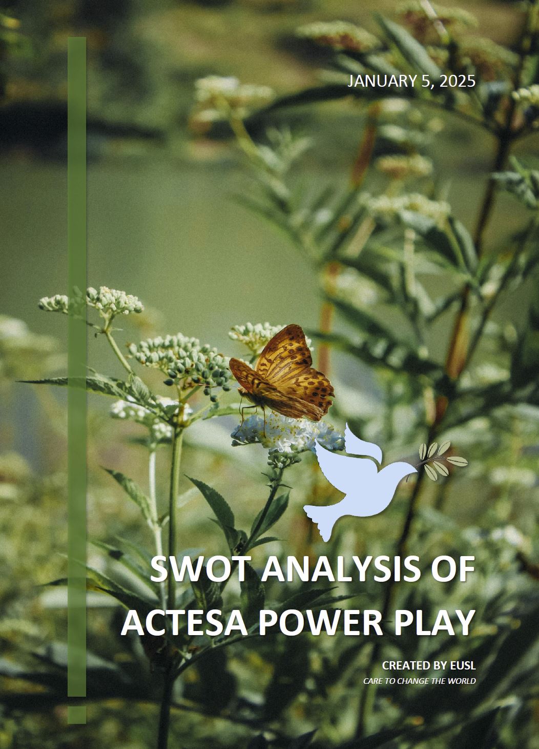 SWOT analysis of ACTESA Power Play