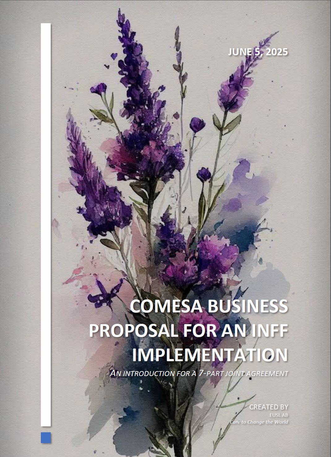 COMESA Business Proposal for an INFF Implementation