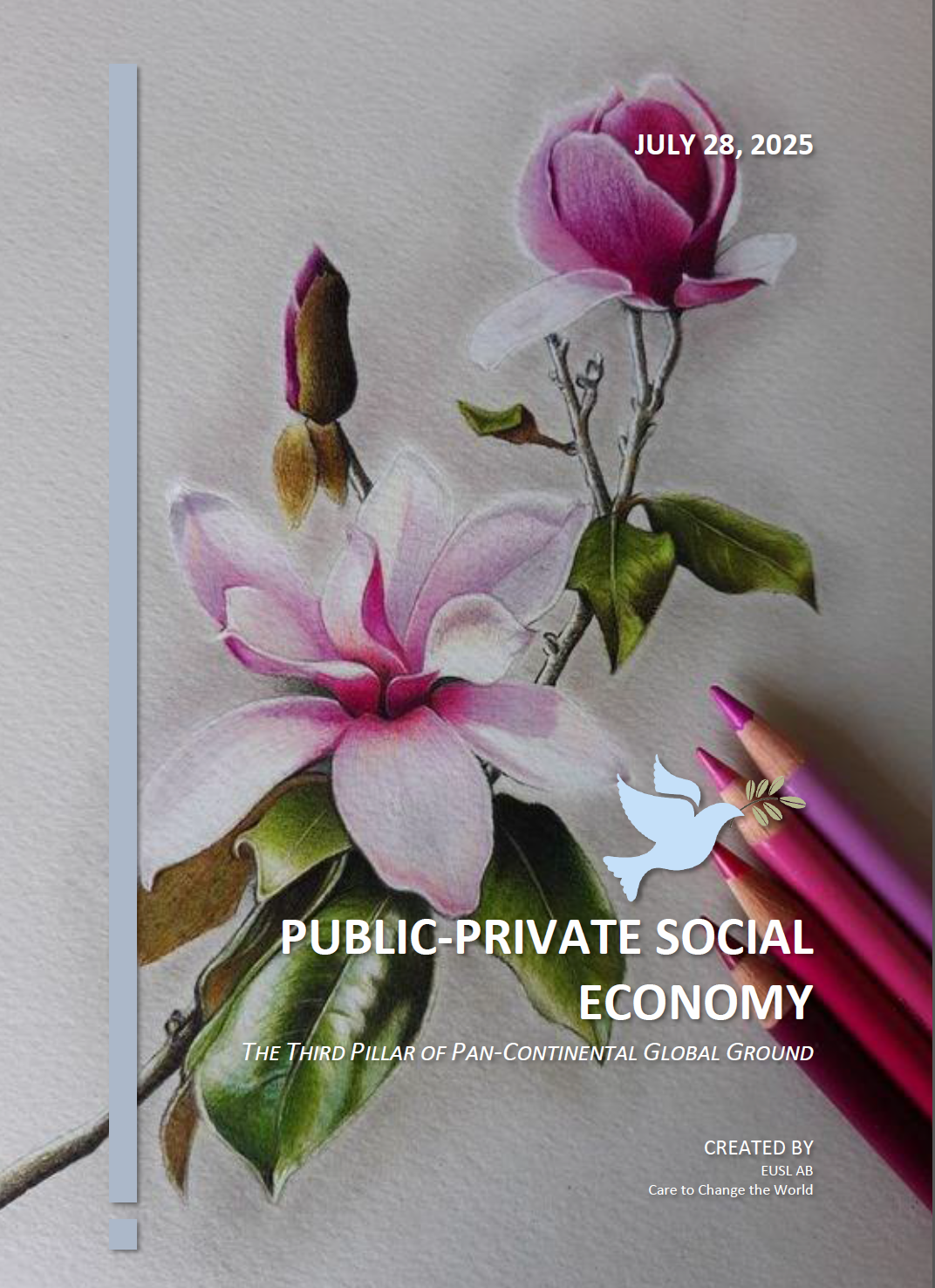 Third Pillar Public Private Social Economy