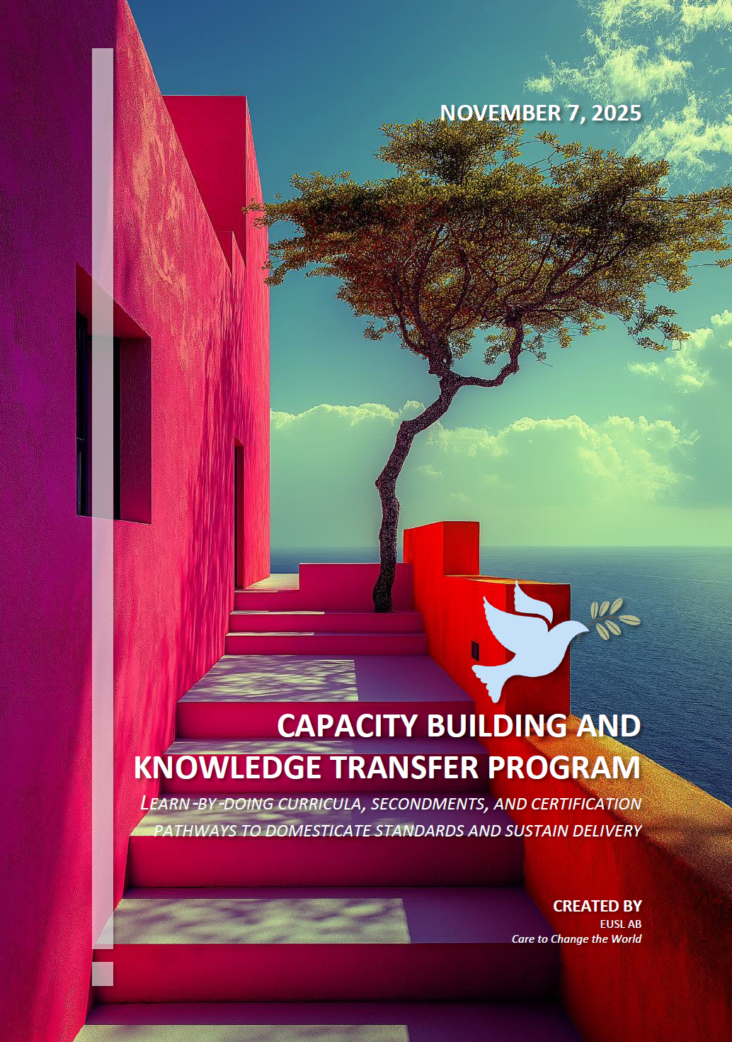 Capacity Building and Knowledge Transfer Program PDF, structuring institutional strengthening, skills development, and knowledge transfer to member authorities.