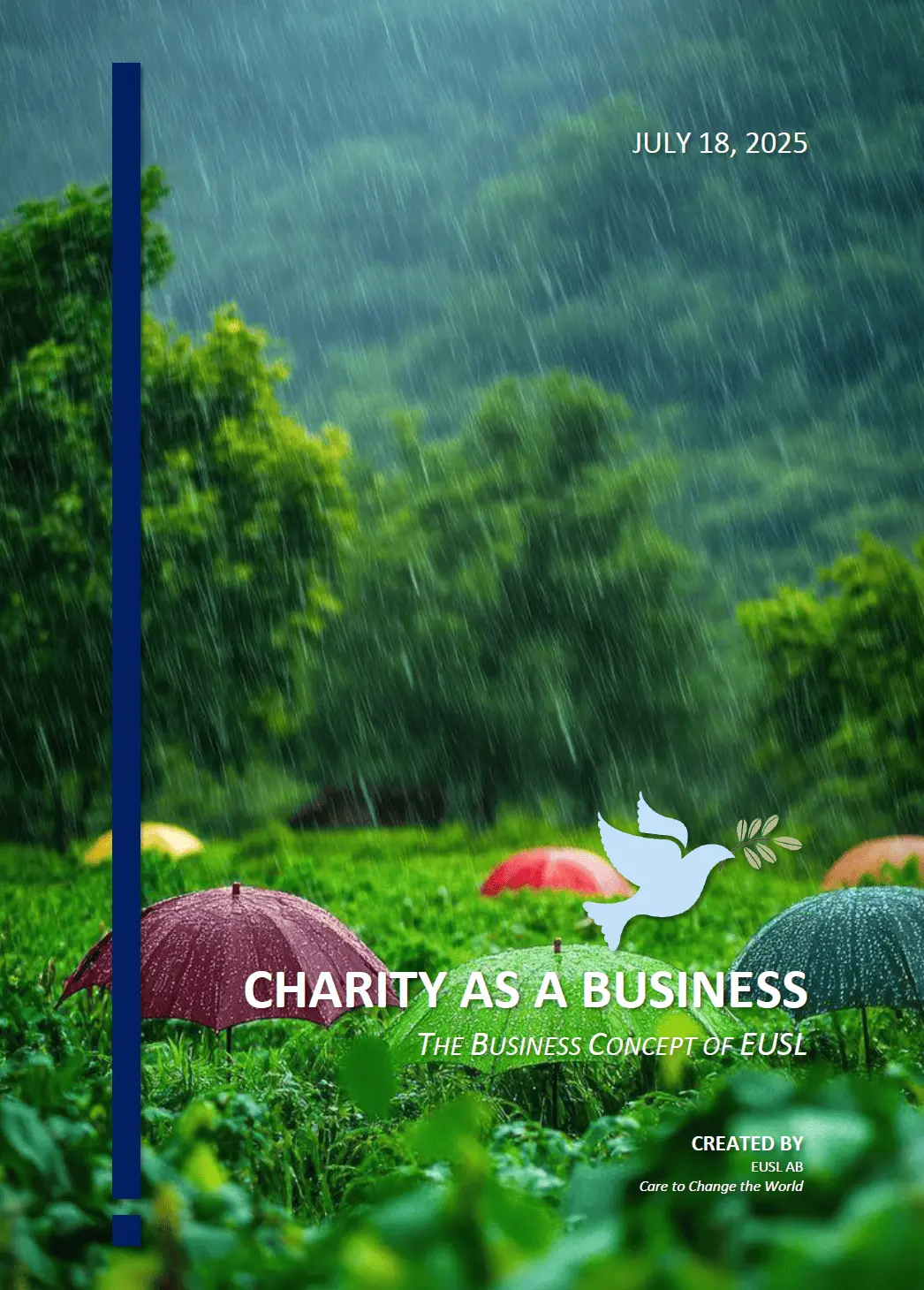 Charity as a Business description