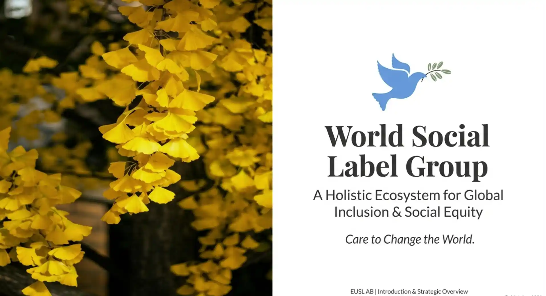 Presentation of the WOSL Group’s ten social‑engagement and membership institutions.